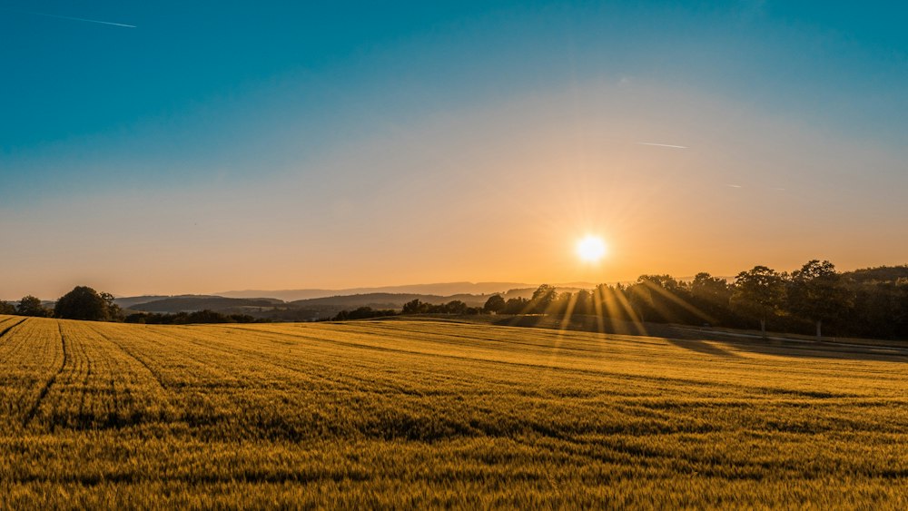 Área rural destinada à produção agrícola